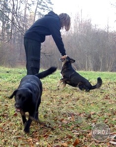 a jump