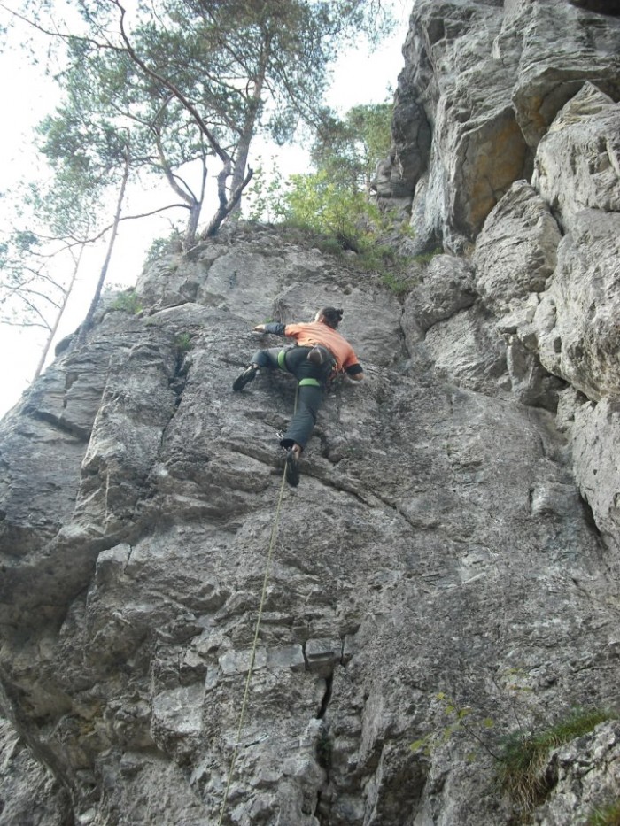 Obrázok