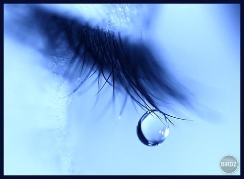 cry