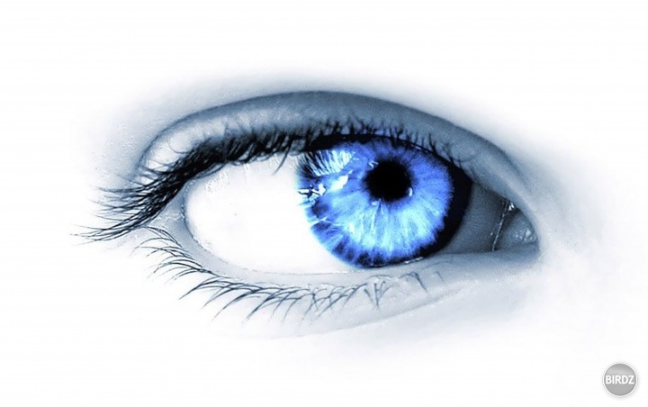 Eye