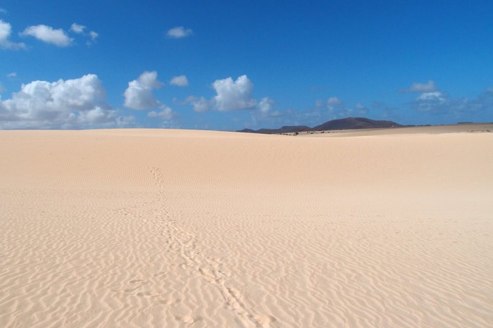 Kanárske ostrovy - Fuerteventura, november 2014