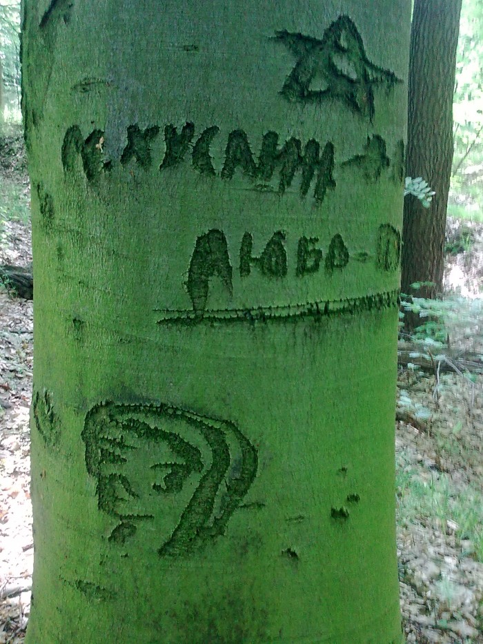 Obrázok