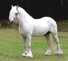 Obrázok