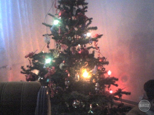 ja chcem viaaaaaaaanoceeeee:D:D:D