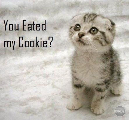 uuuuuu *_*