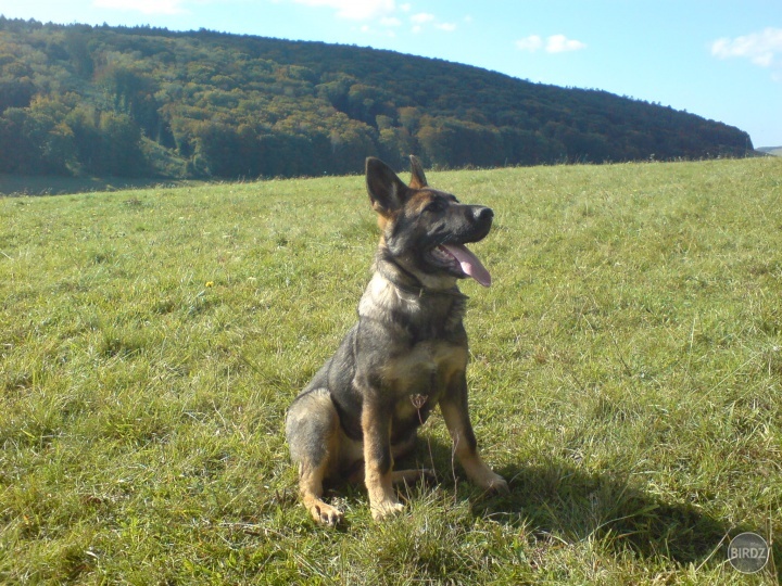 Obrázok