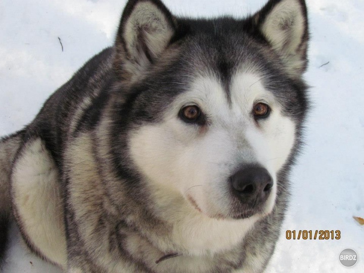 Sheila

http://www.facebook.com/Kenai.Fjords
www.kenaifjords.sk