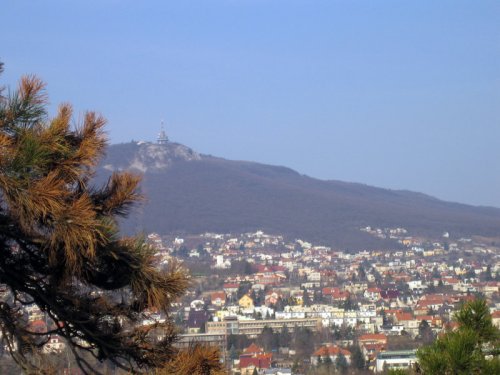 Obrázok