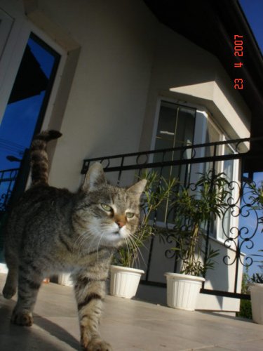 dalsia pozza :)