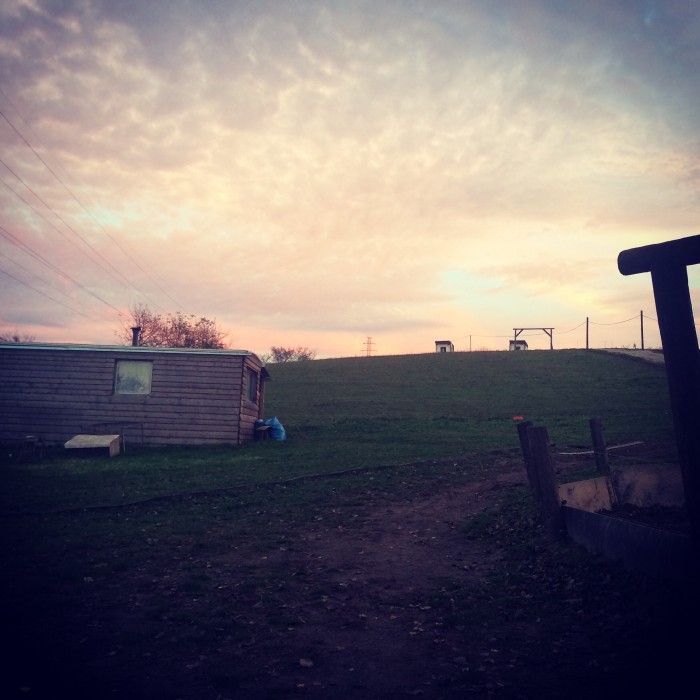 Woody ranch :) 