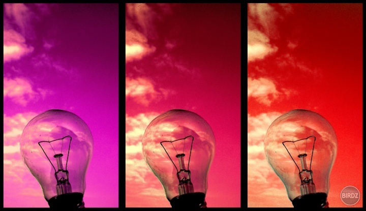 Bulb