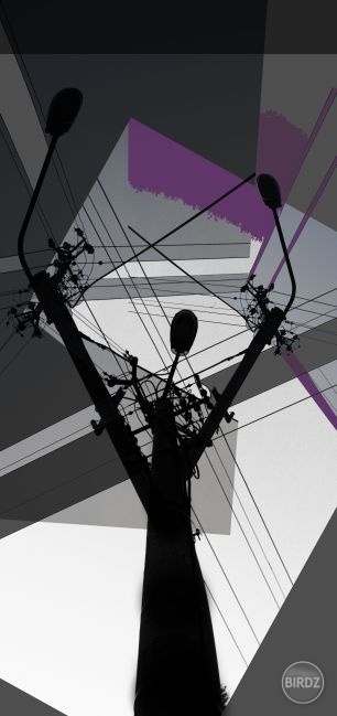 shapes