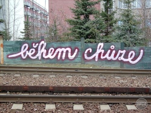 timo @ brno