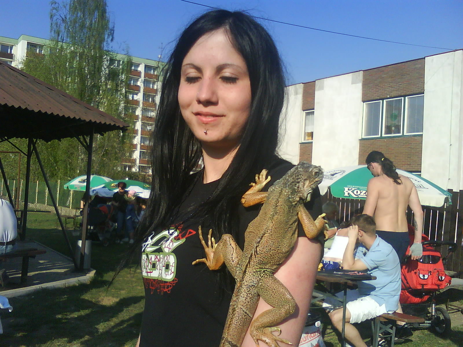 Obrázok