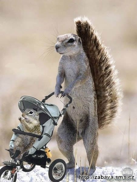 na prechádzke:D