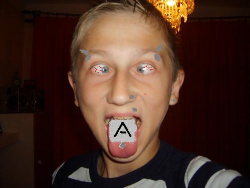 Obrázok