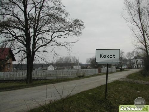 Obrázok