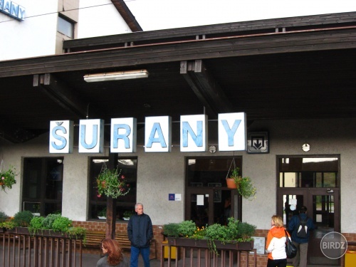 šurany:D
