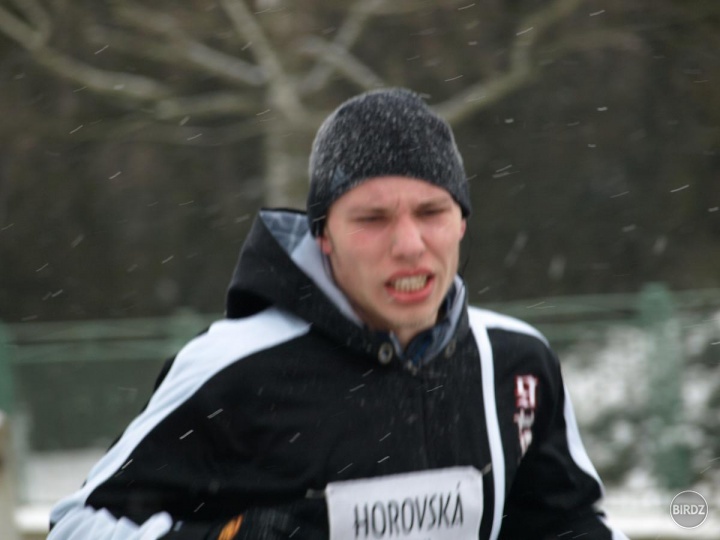 Obrázok
