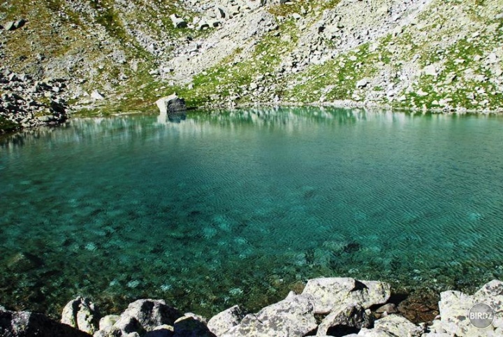 Obrázok
