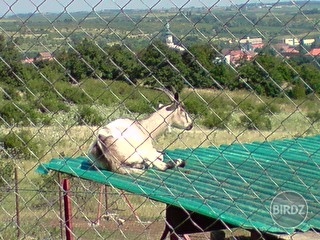 Pekne   (thumbs)    :)