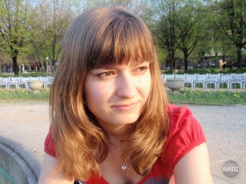 Obrázok