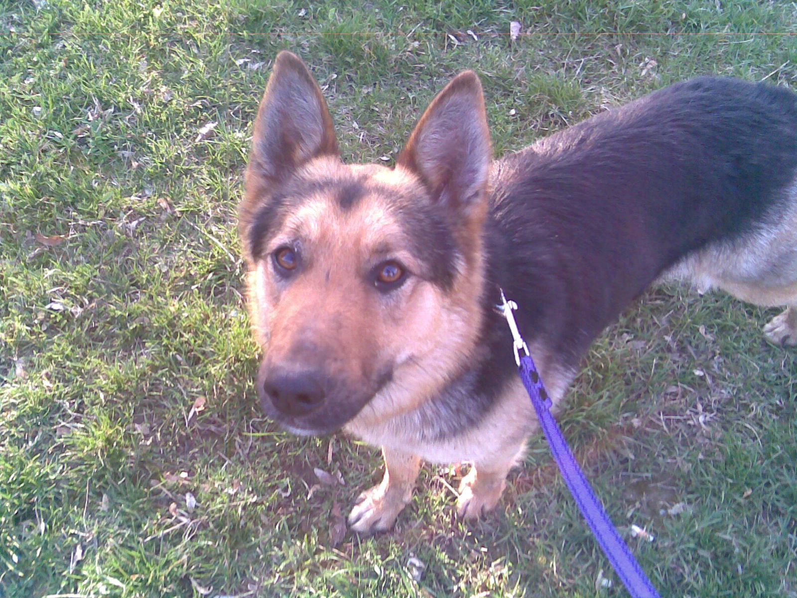 Denka:)