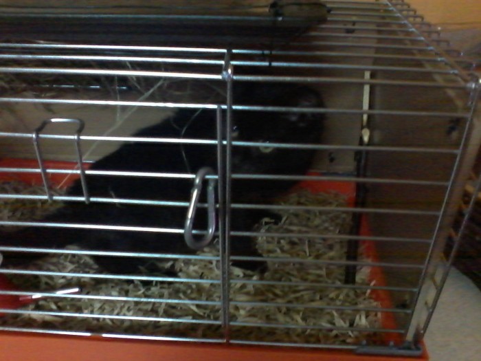 Obrázok