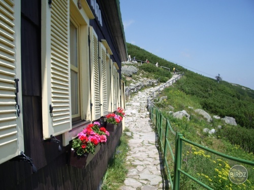 Obrázok