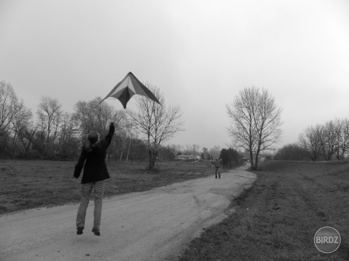 Flying home (UFO)