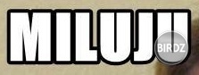 Prosim neviete aký je toto font ? :-)