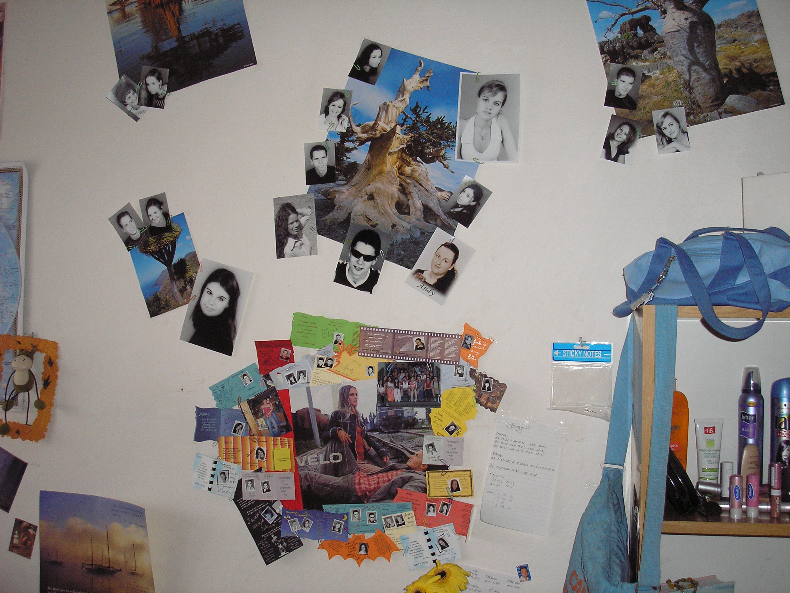 my room