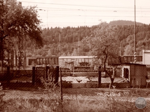 Obrázok