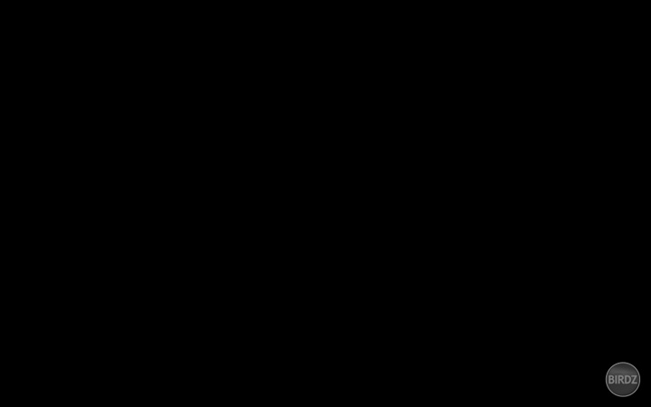 Ten Je Slepý Si Nevšímol Že Mi Píše Prvý ? a On Hovorí Že Čo Chcem ? :D Mimo .. :D Omg 