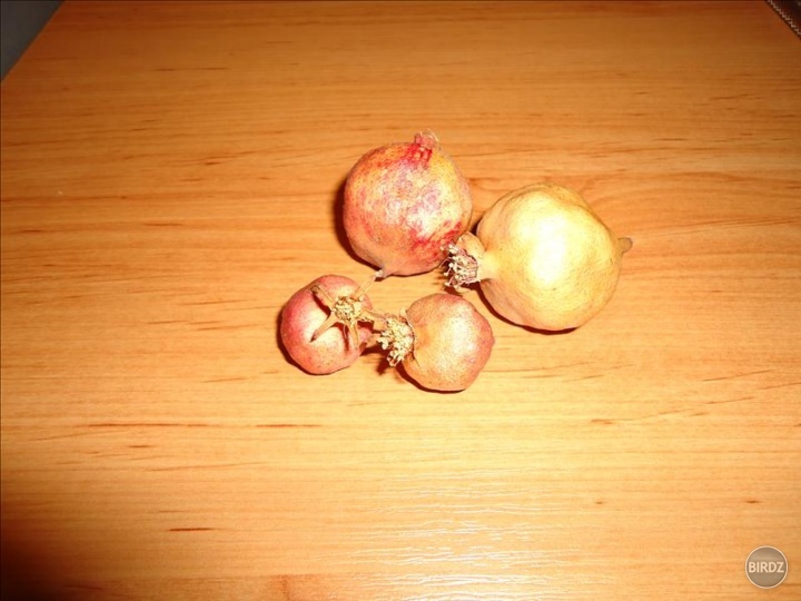 Moje prvé granátové jablká ... po sušení :D