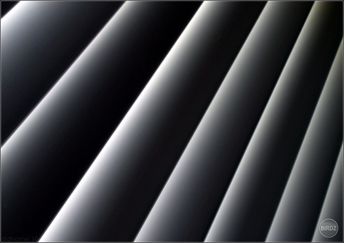 Formes et des Lignes / Noir et Blanc (Hasselblad H4D-40)