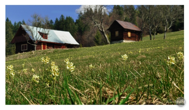 Jarná idylka