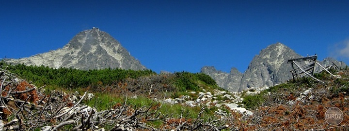 Lomnický štít z Tatranskej magistrály (smer Skalnaté pleso)