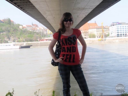 Obrázok