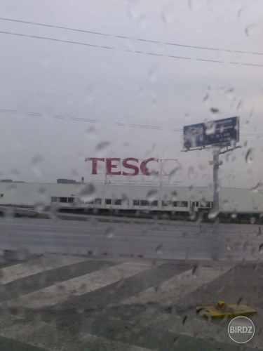 tesc