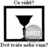 Čo vidíš???