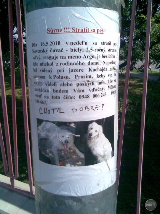 Obrázok