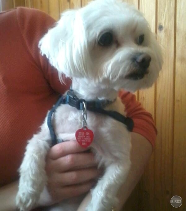 Moj havo :) 