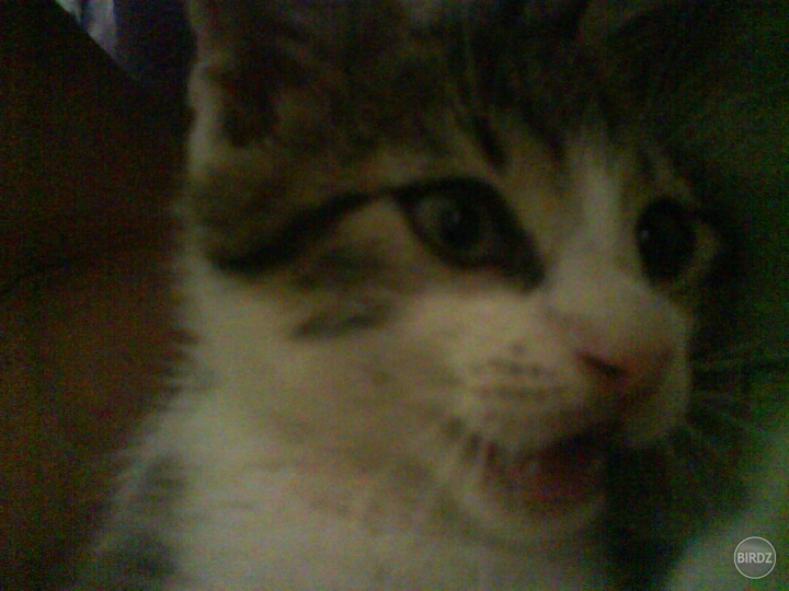 ....kuk :D