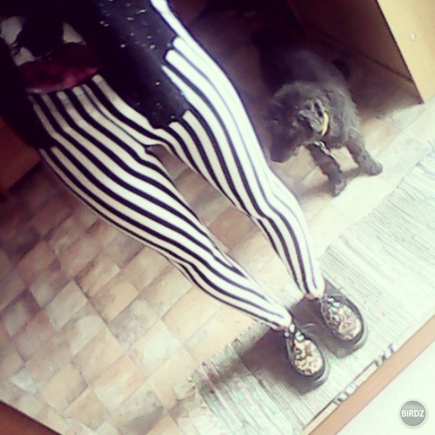 noveeee legineeee a bobik v pozadi :D 