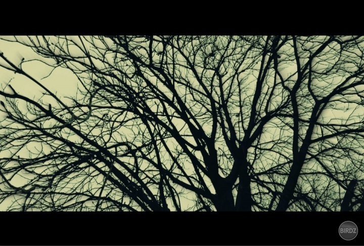 november darkness