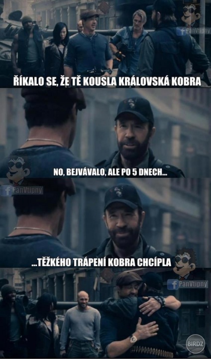 Obrázok