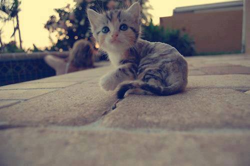 a mozem ist spat ^___^
