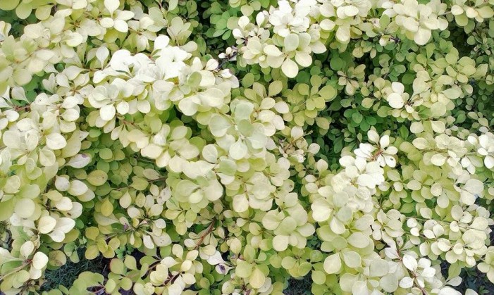 Beautiful nature :)