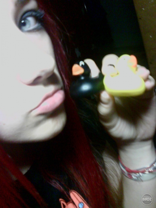 DuckPower! :D my beloved ducks from Norway (present from Zuuz :-*)